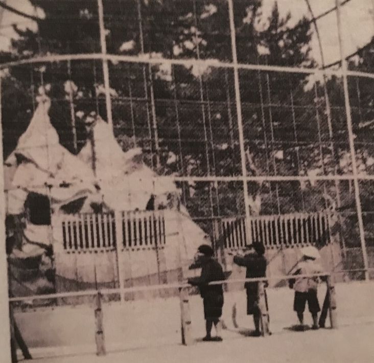 戦前の阪和電鉄砂川遊園内にあったモンキーハウス